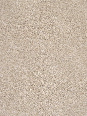 Ковролин AW Terra 34 фото 1 | FLOORDEALER